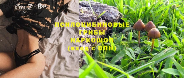 твердый Вязники