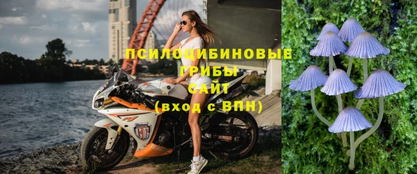 кокс Вяземский