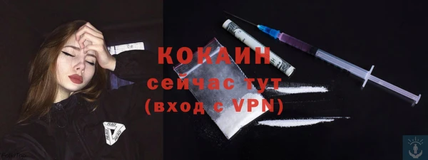кокс Вяземский