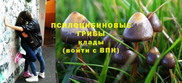 кокс Вяземский