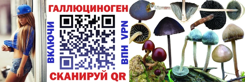 Псилоцибиновые грибы MAGIC MUSHROOMS Купить где Облучье